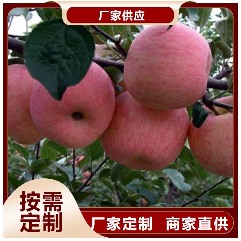 红富士苹果苹果
真实拍摄品质可靠