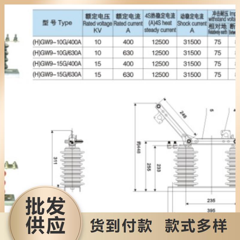 户外高压交流隔离开关：HGW9-10-400A厂家价格.