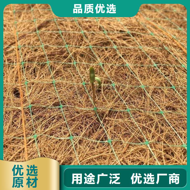 生态植物防护毯稻草植生毯