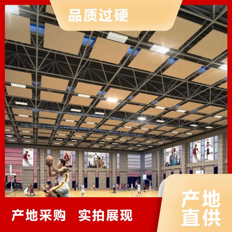 昌宁县学校体育馆吸音改造价格--2024最近方案/价格