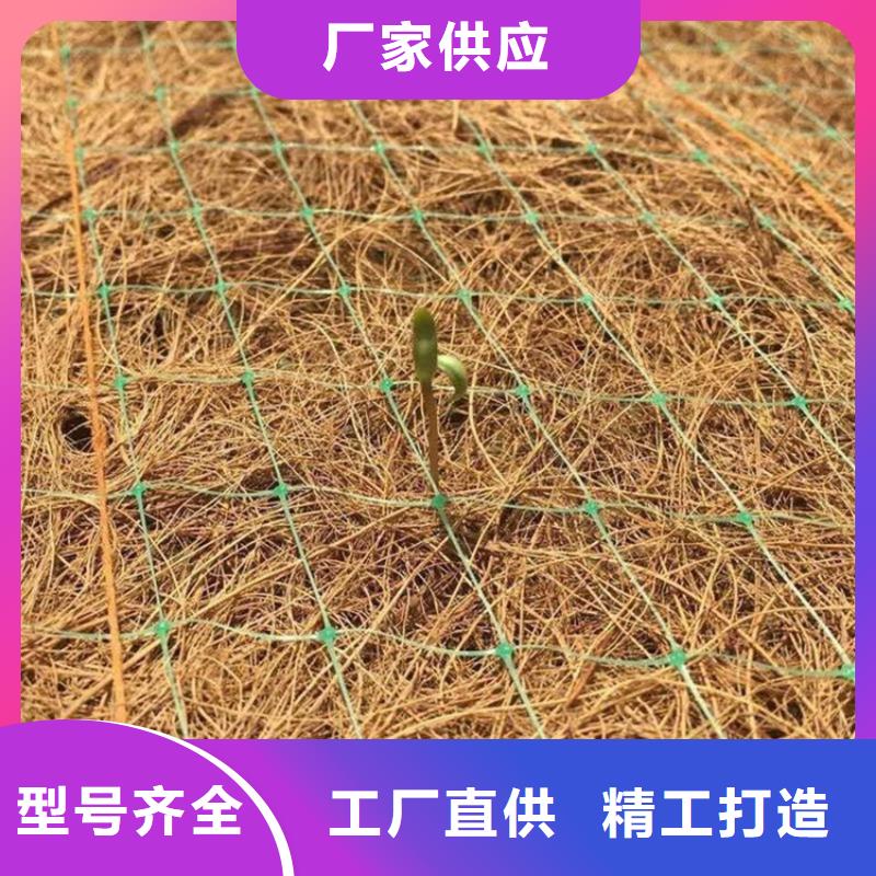 台湾椰纤植生毯-植草绿化毯