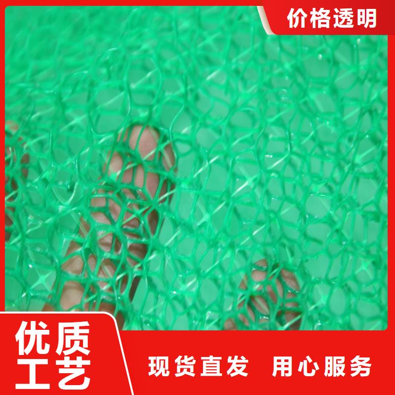 塑料EM2加筋护坡植草网垫