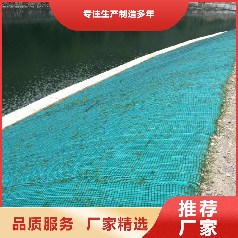 儋州市植物生态防护毯河道护坡椰丝毯