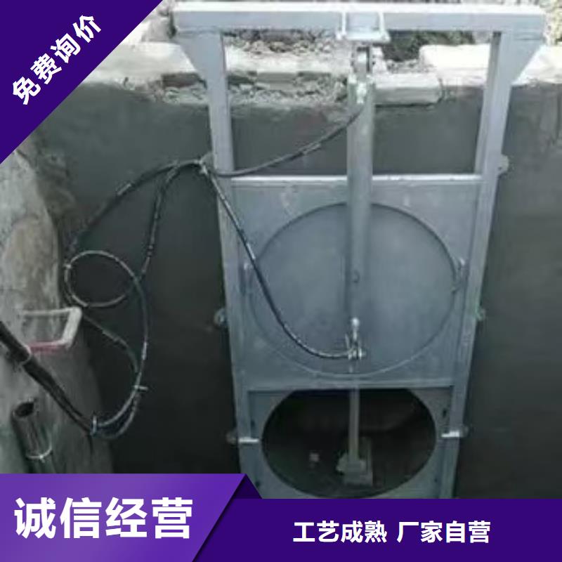 黑龙江定制<瑞鑫>五大连池市一体化泵站截流闸门