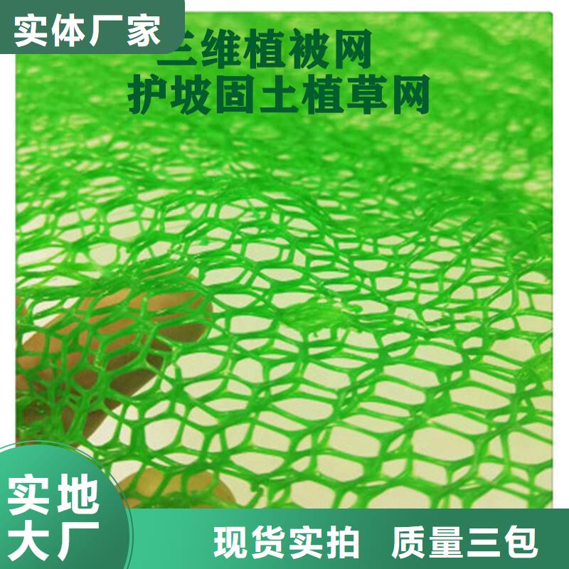 三维植被网_防护虹吸排水收集系统海量现货直销