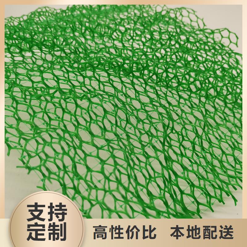 三维植被网_防护虹吸排水收集系统海量现货直销