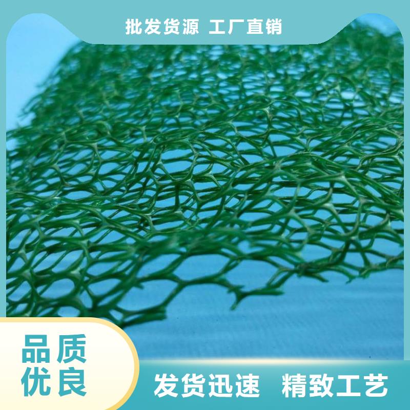 三维植被网_防护虹吸排水收集系统海量现货直销