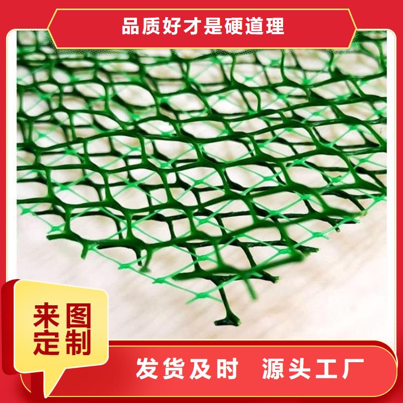 三维植被网_防护虹吸排水收集系统海量现货直销