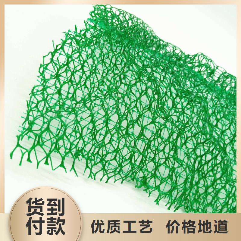三维植被网_防护虹吸排水收集系统海量现货直销