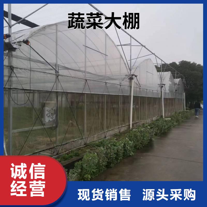 广东省深圳莲塘街道草莓大棚的跨度几米实体大厂