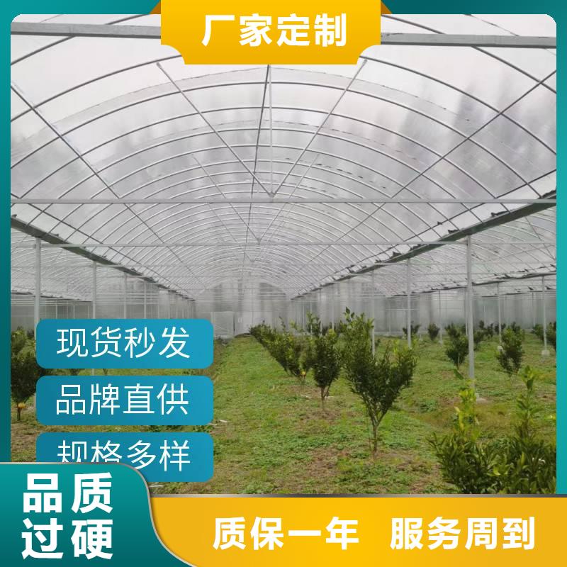 鸡泽县GP8432连栋温室大棚生产基地