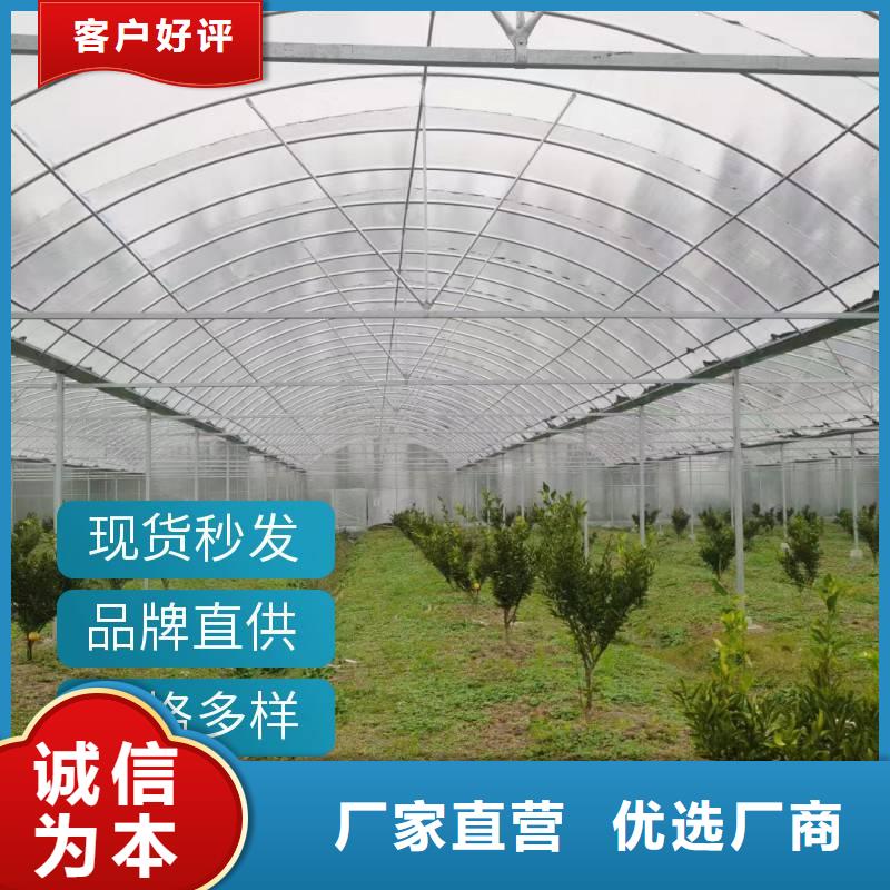 德庆县8米跨度连体温室大棚择优推荐