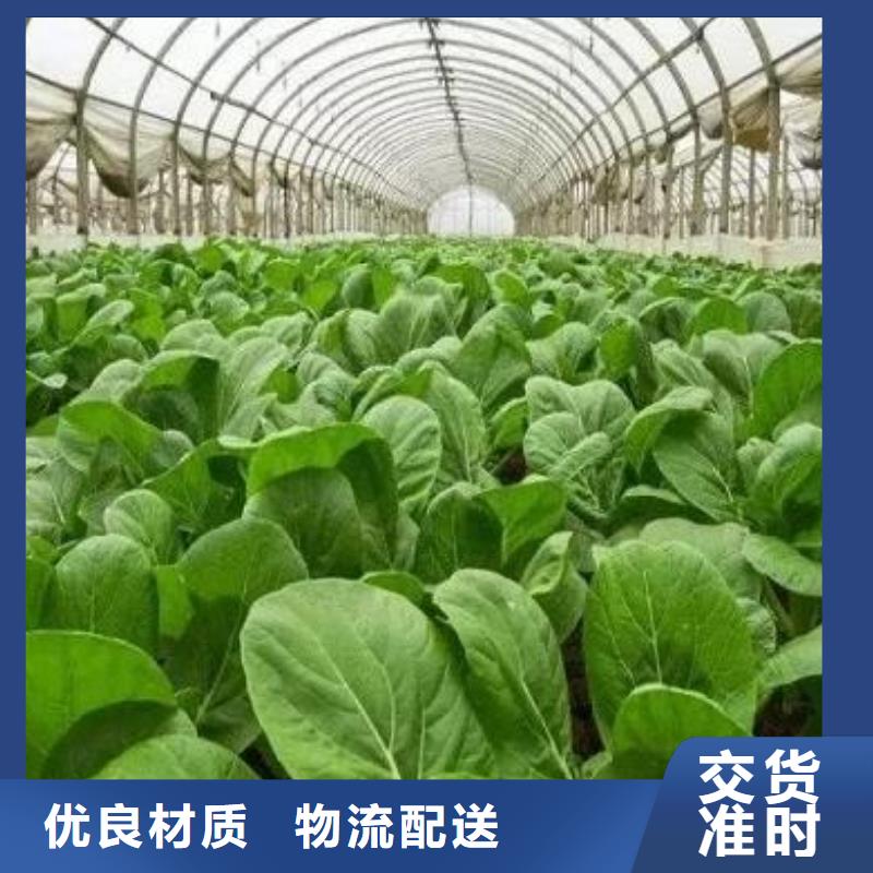 茂名惠州深圳晒干鸡粪产品说明