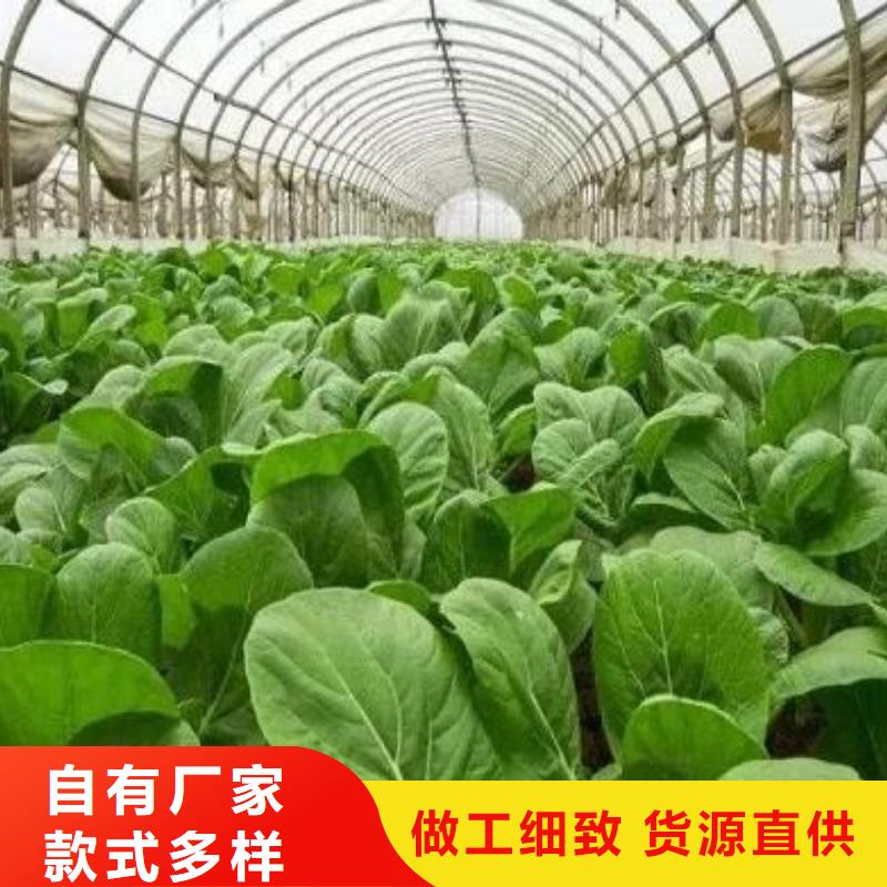 重庆有机肥技术指导