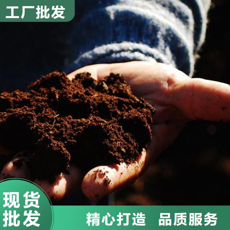 重庆有机肥技术指导