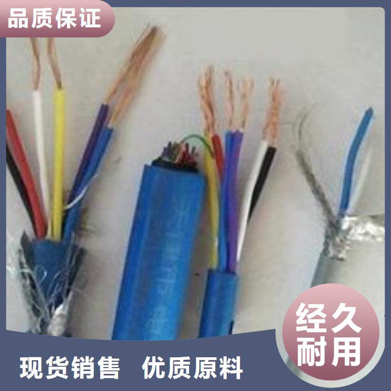 电线电缆PTYA23电缆生产加工