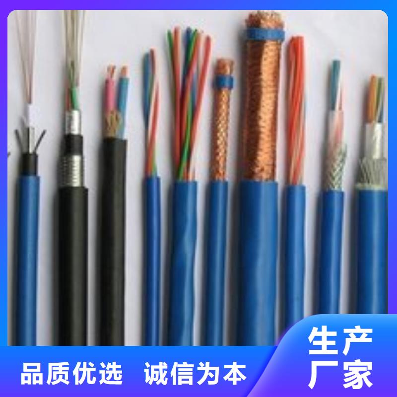 电线电缆PTYA23电缆生产加工